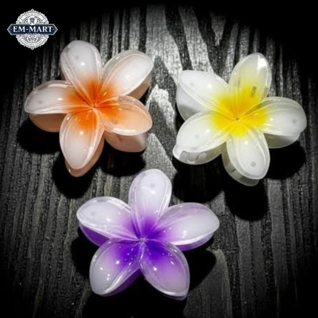Big araliya hair clip 3pcs